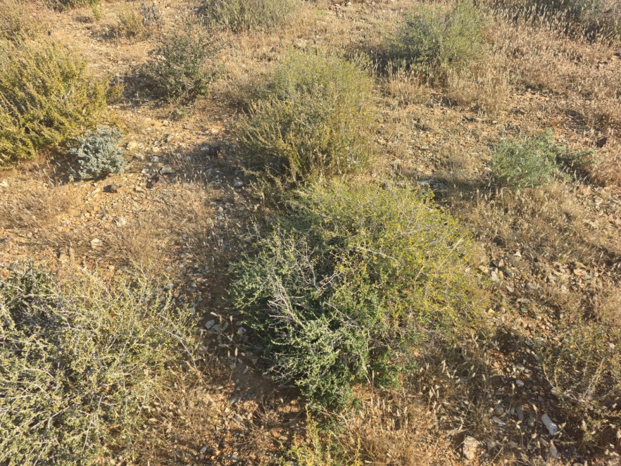 Commercial Property for Sale in Carnarvon Rural Northern Cape